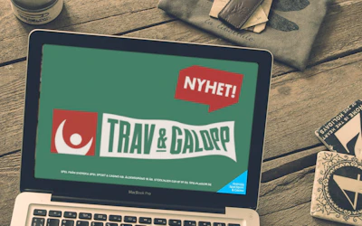 high five svenska spel andel