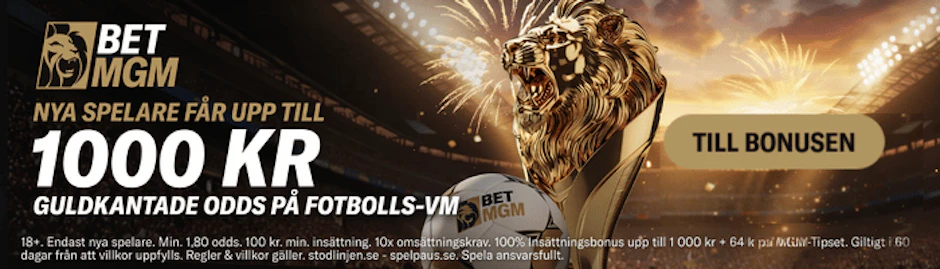 BETMGM BANNER NY