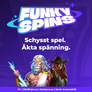 FUNKY SPINS MOBILE