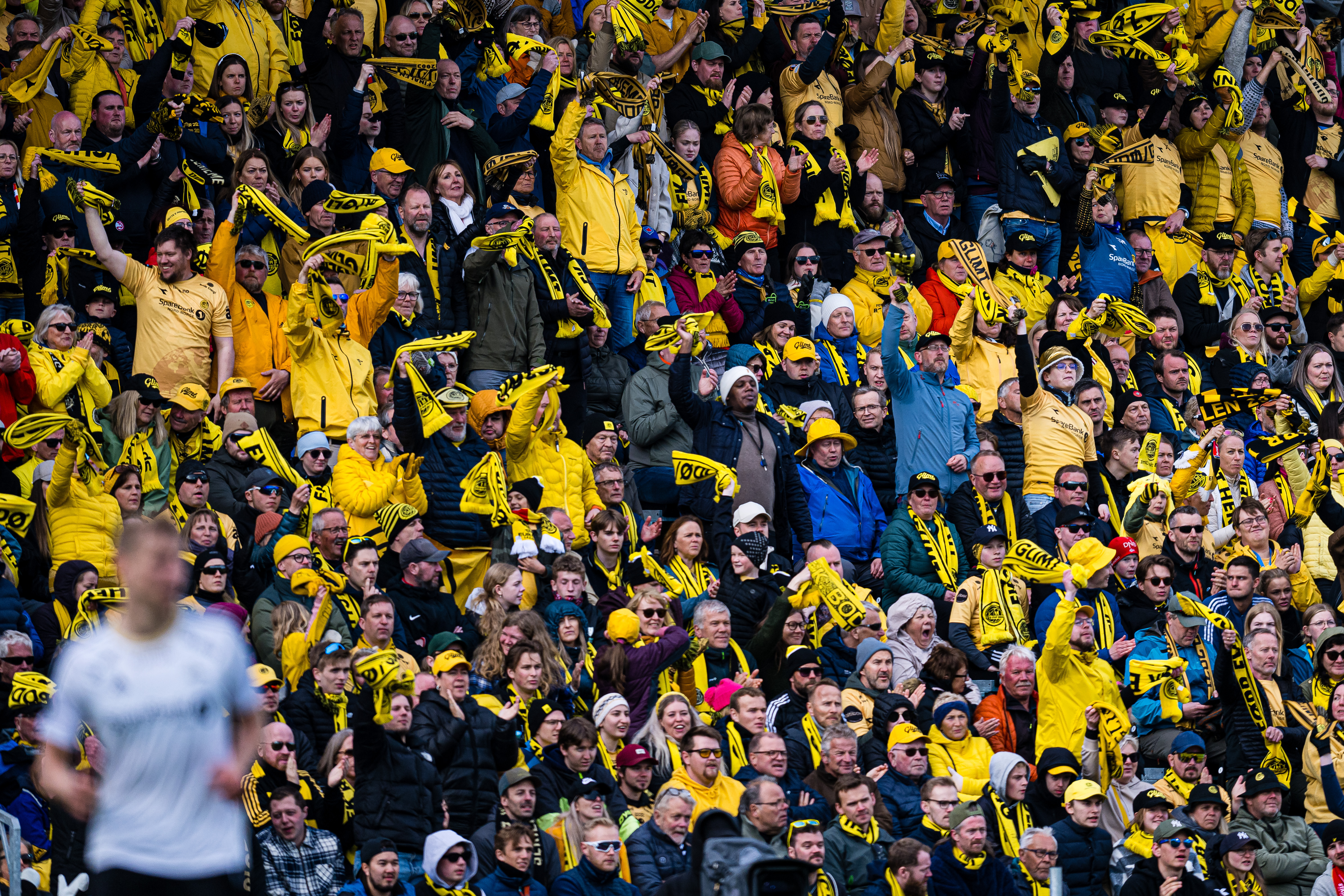 Speltips Bodø/Glimt - HamKam