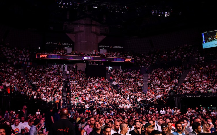 Speltips Pereira - Prochazka