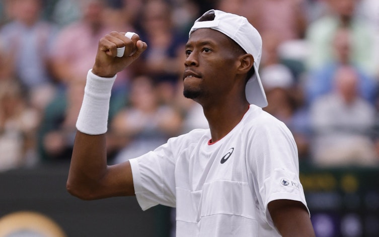 Speltips Halys - Eubanks