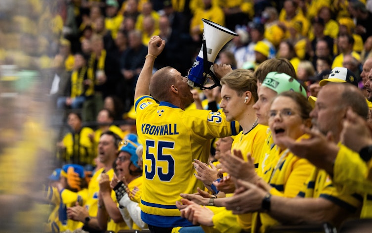 Speltips Sverige - USA