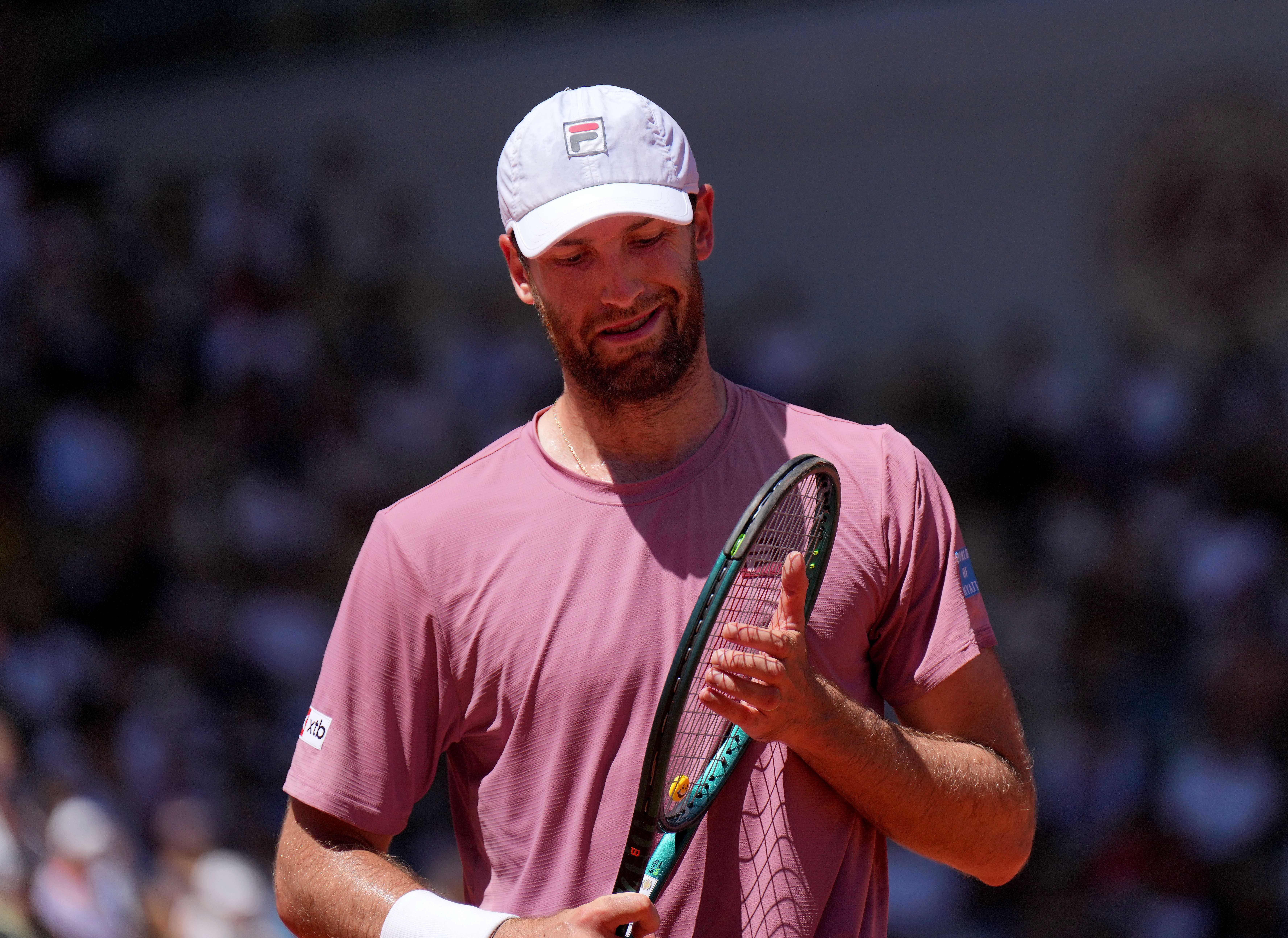 Speltips Halys - O'Connell