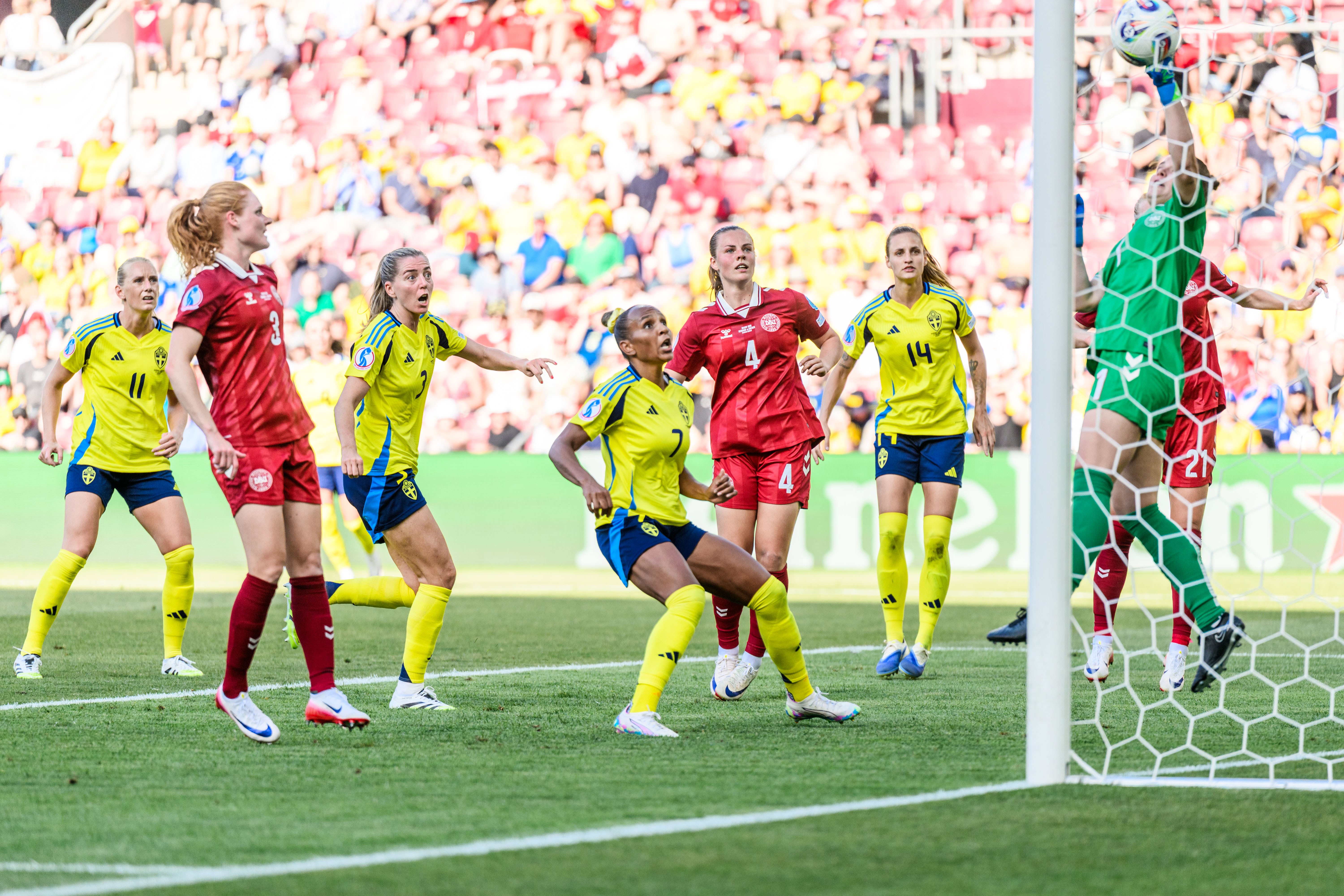 Speltips Polen - Sverige