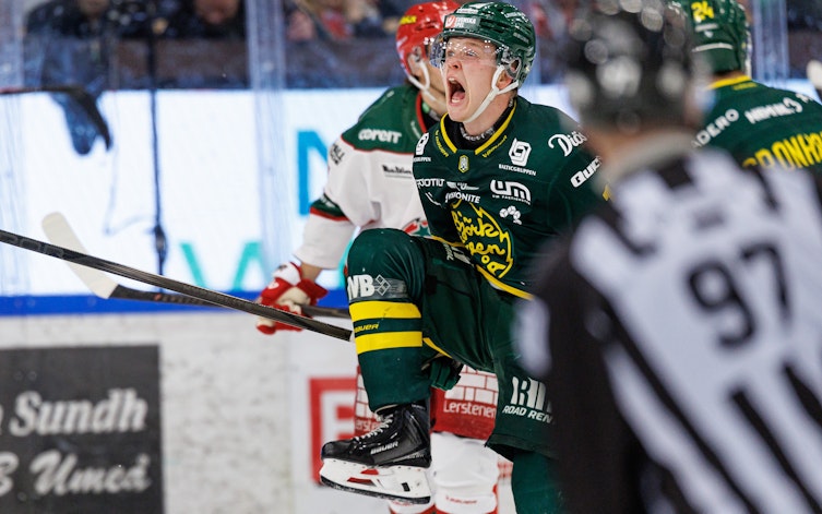 Speltips IF Björklöven - Vimmerby HC
