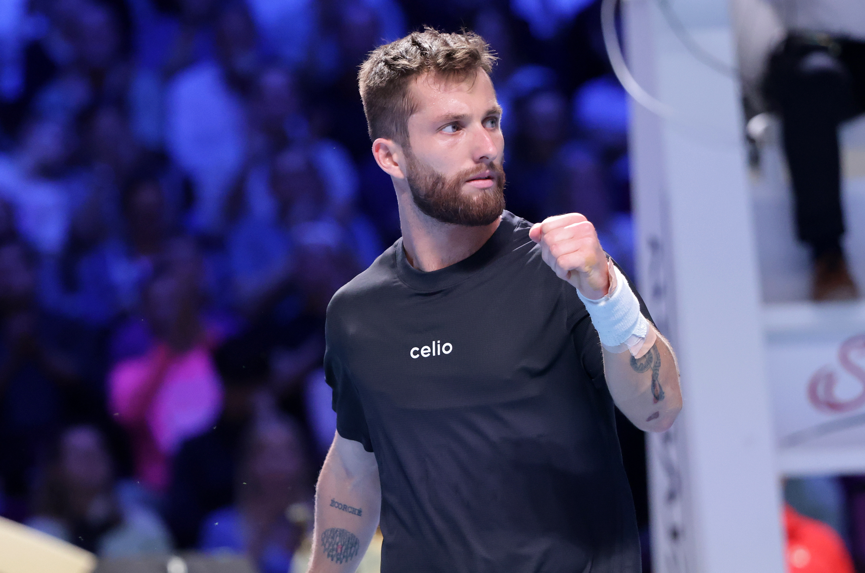 Speltips Moutet - Vukic