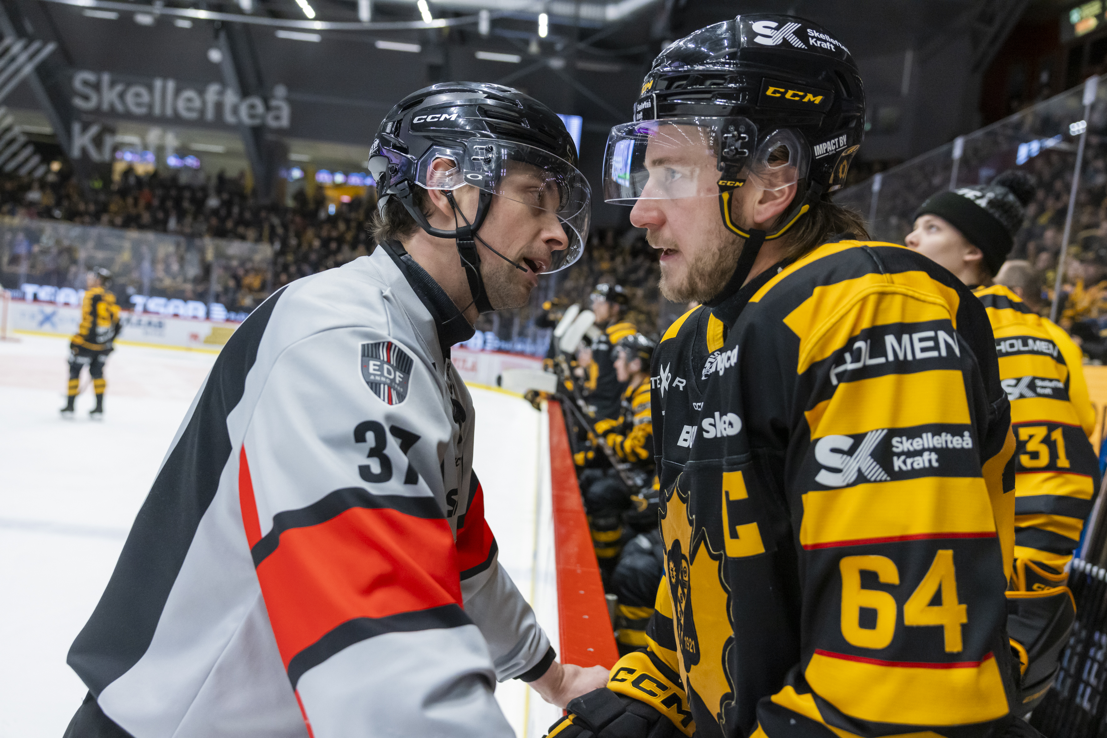 Speltips Skellefteå AIK - Linköping HC