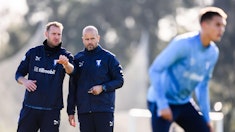 Malmö Röda stjärnan europa league