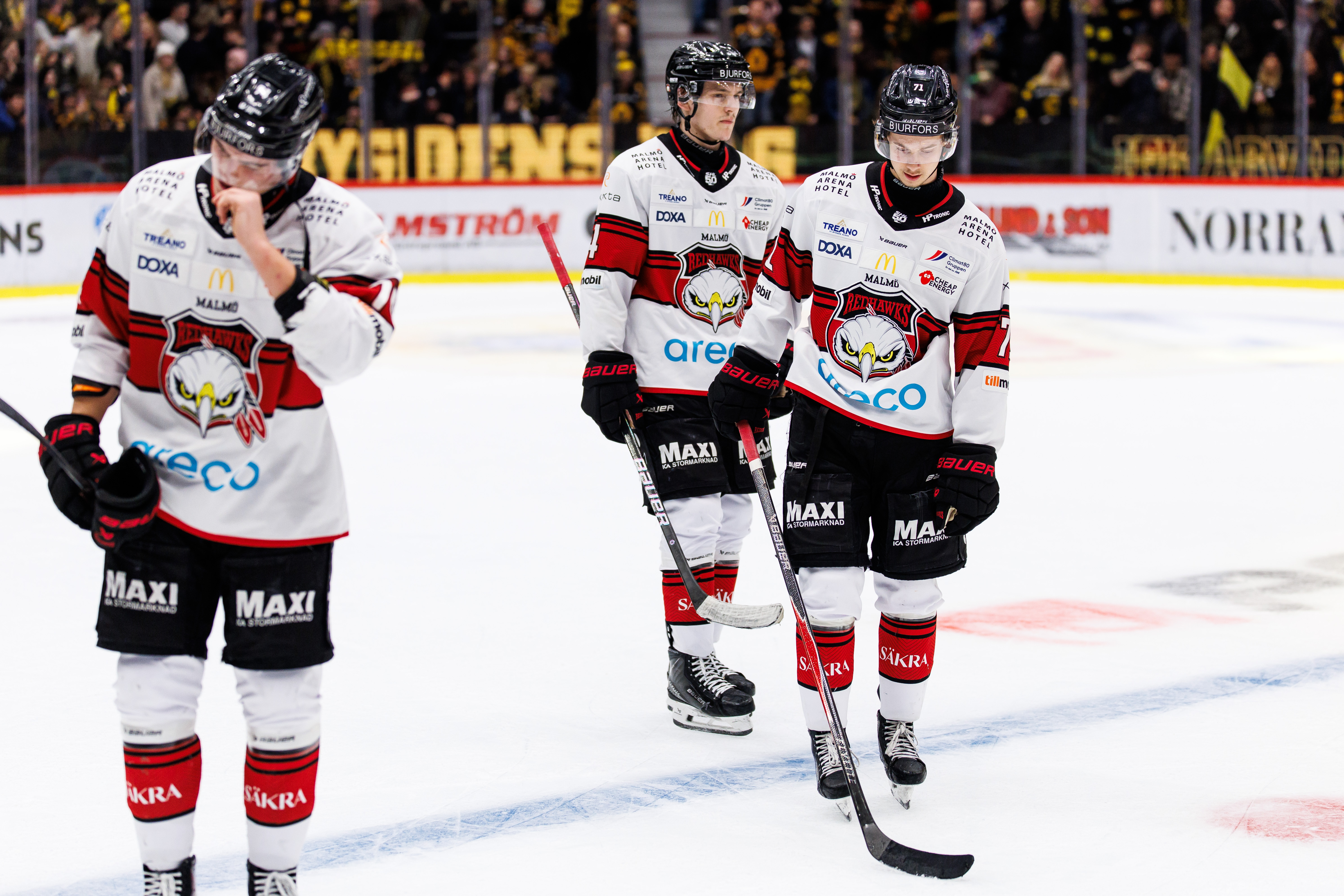 Speltips Malmö Redhawks - Skellefteå AIK