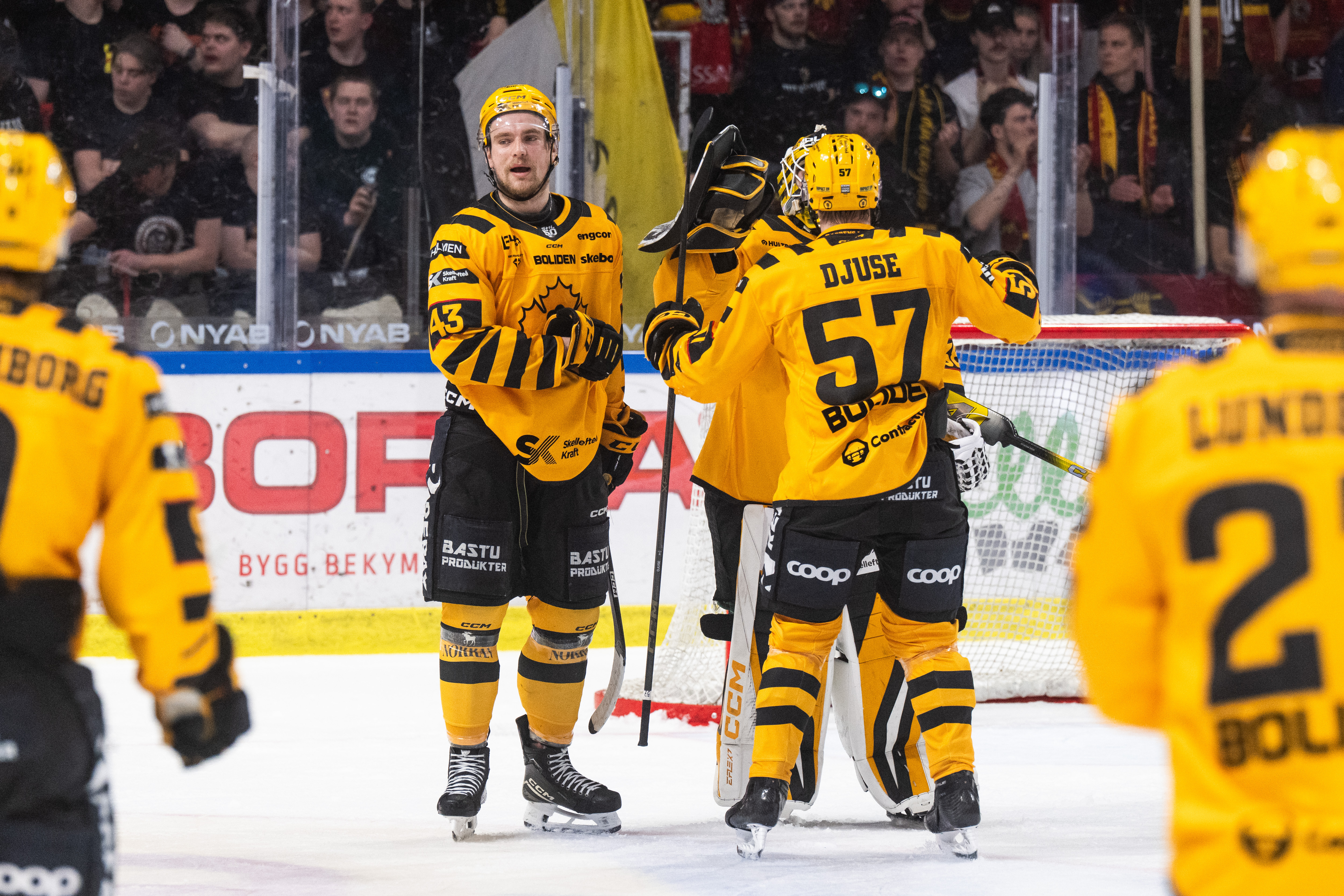 Speltips Luleå HF - Skellefteå AIK