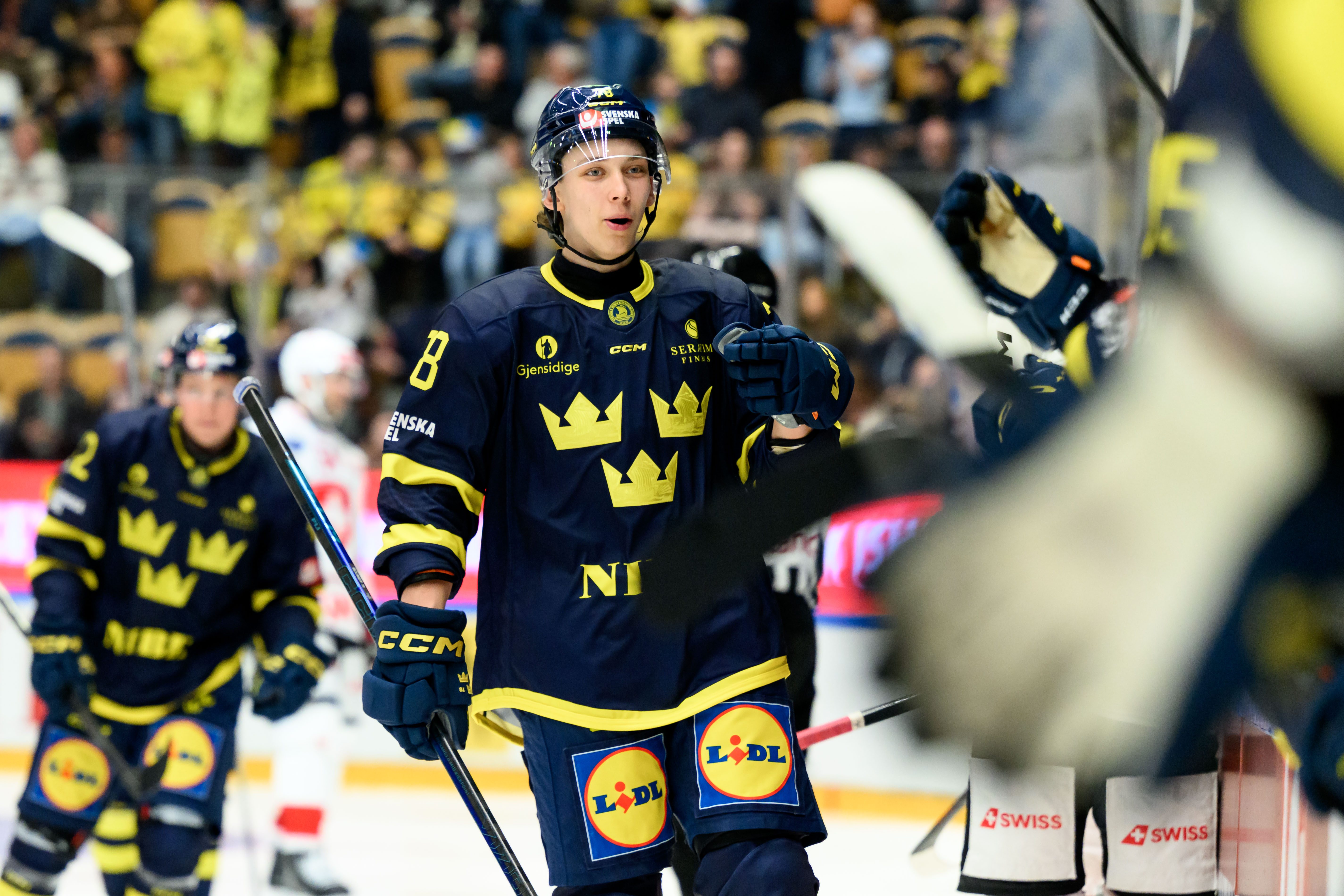 Speltips Tjeckien - Sverige