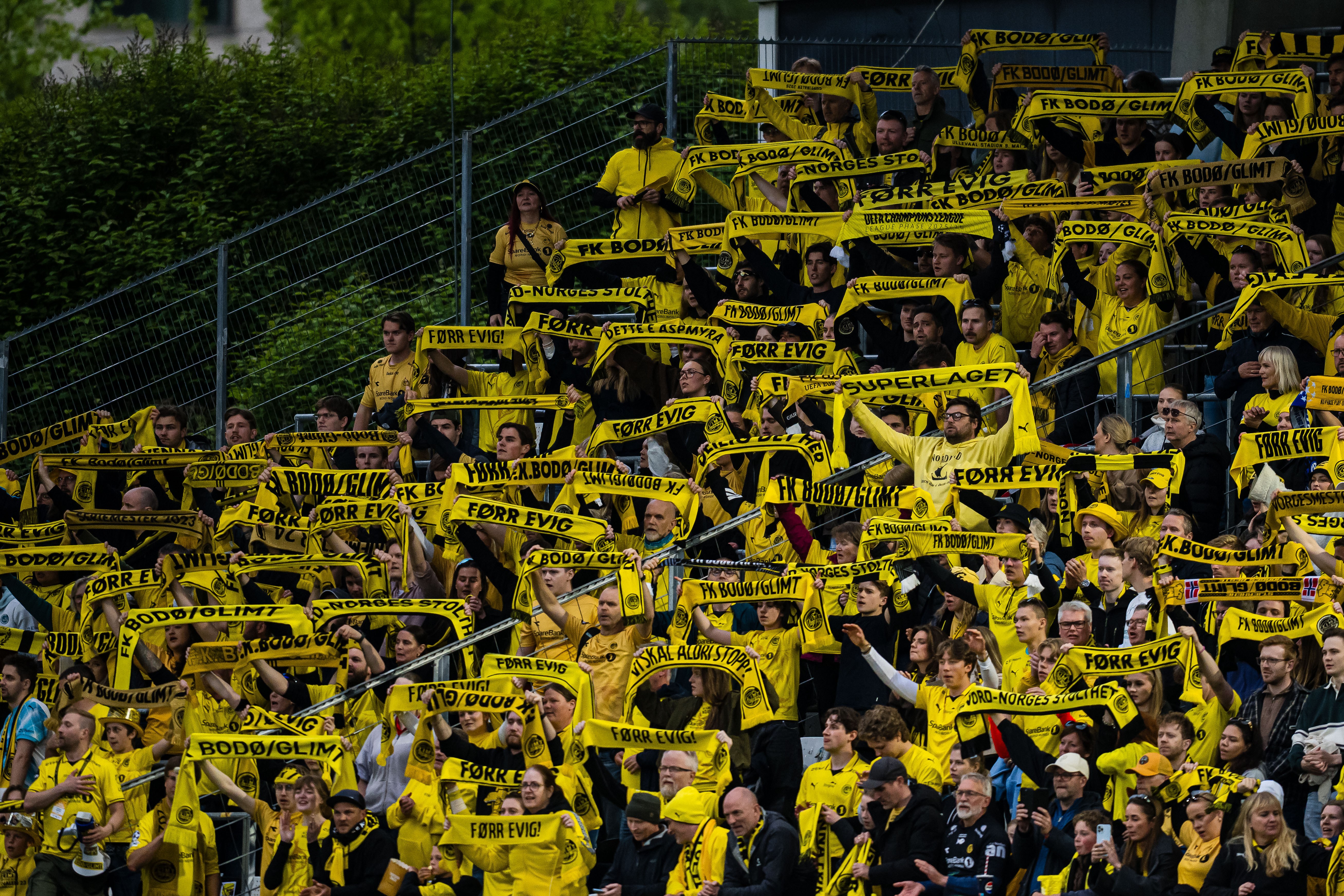 Bodö/Glimt - HamKam