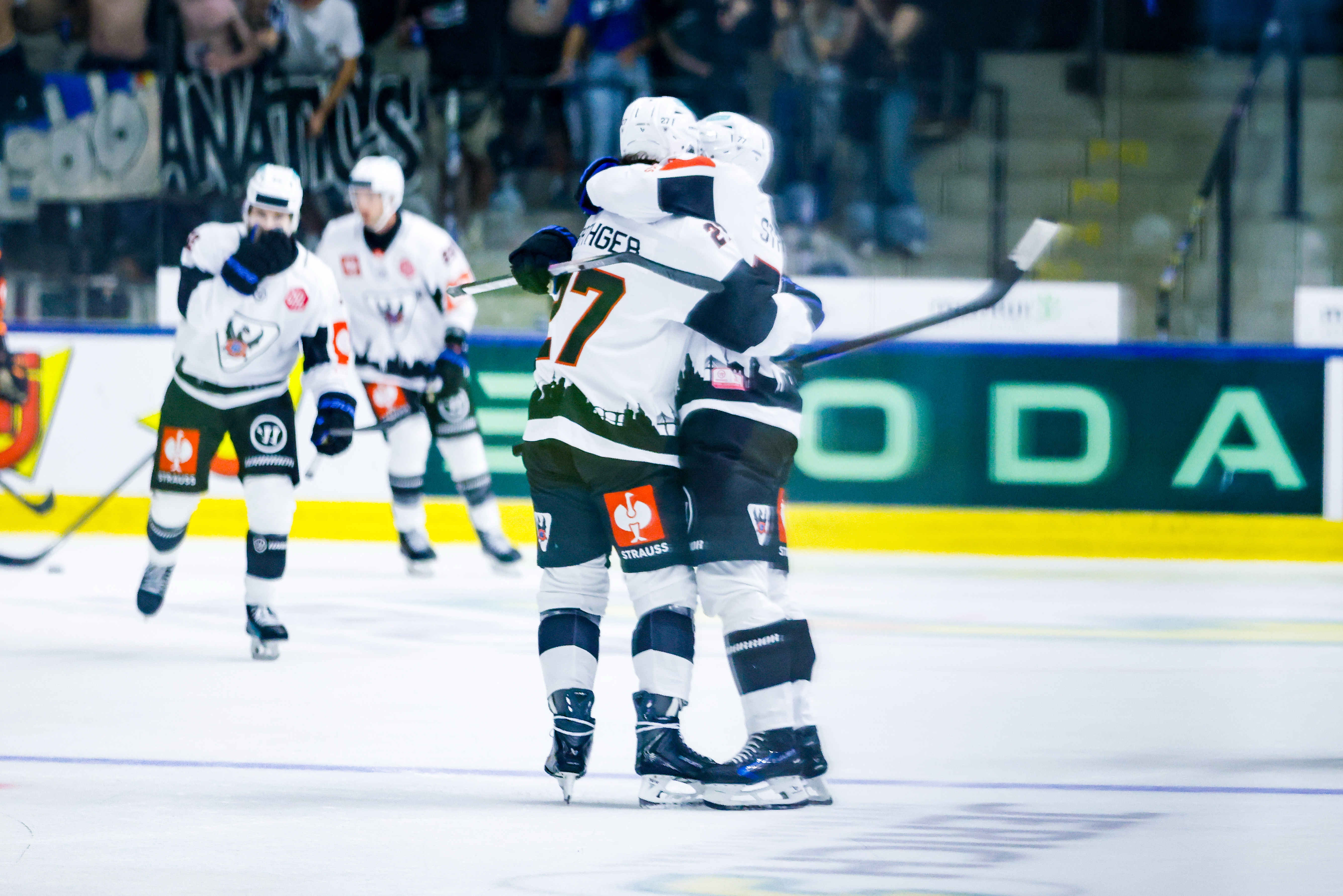 Speltips Herning Blue Fox - Fribourg
