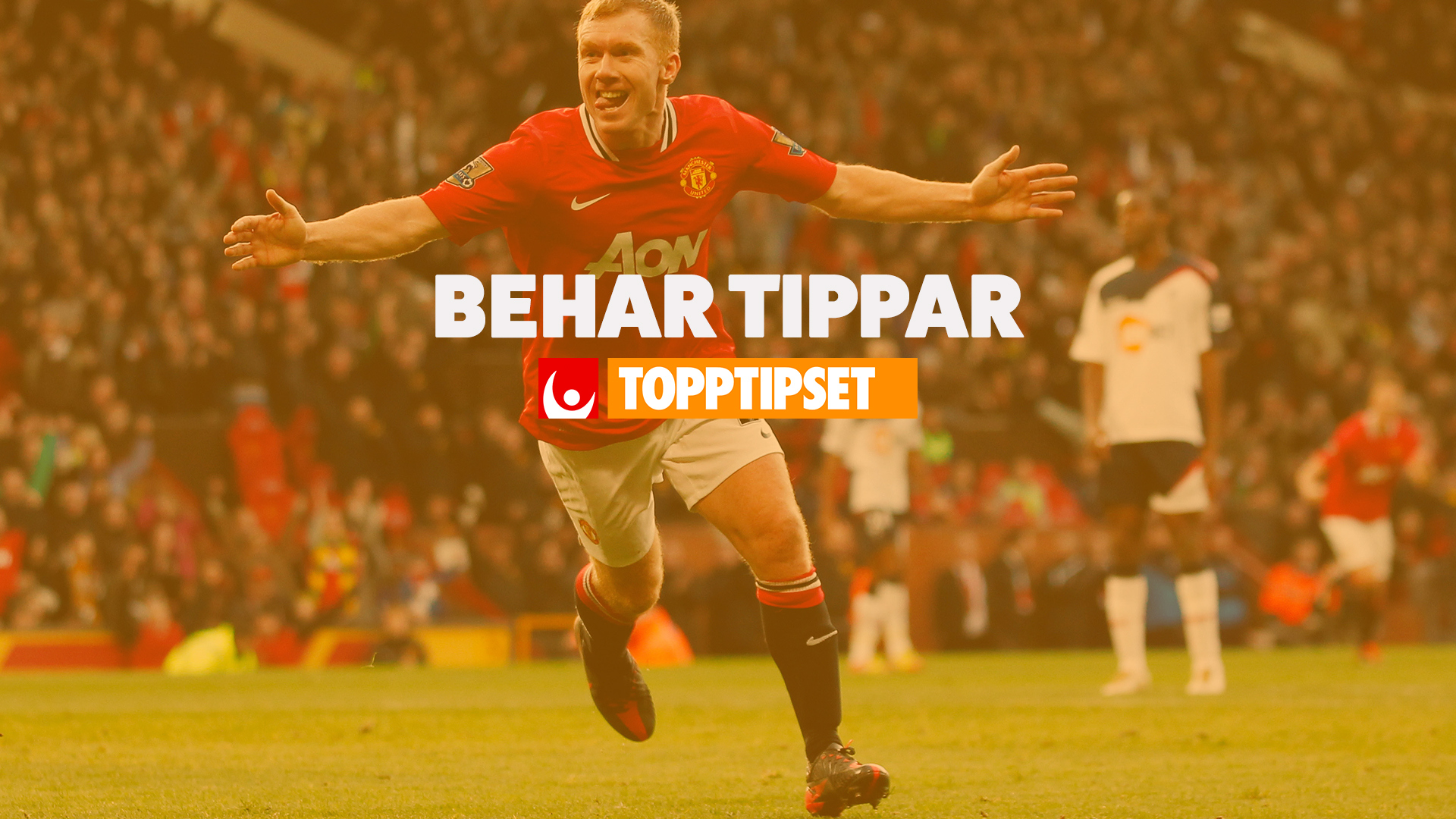 Speltips Andelsanalys  » Topptipset 17/11