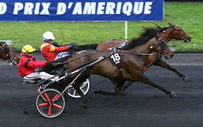 Prix d Amérique