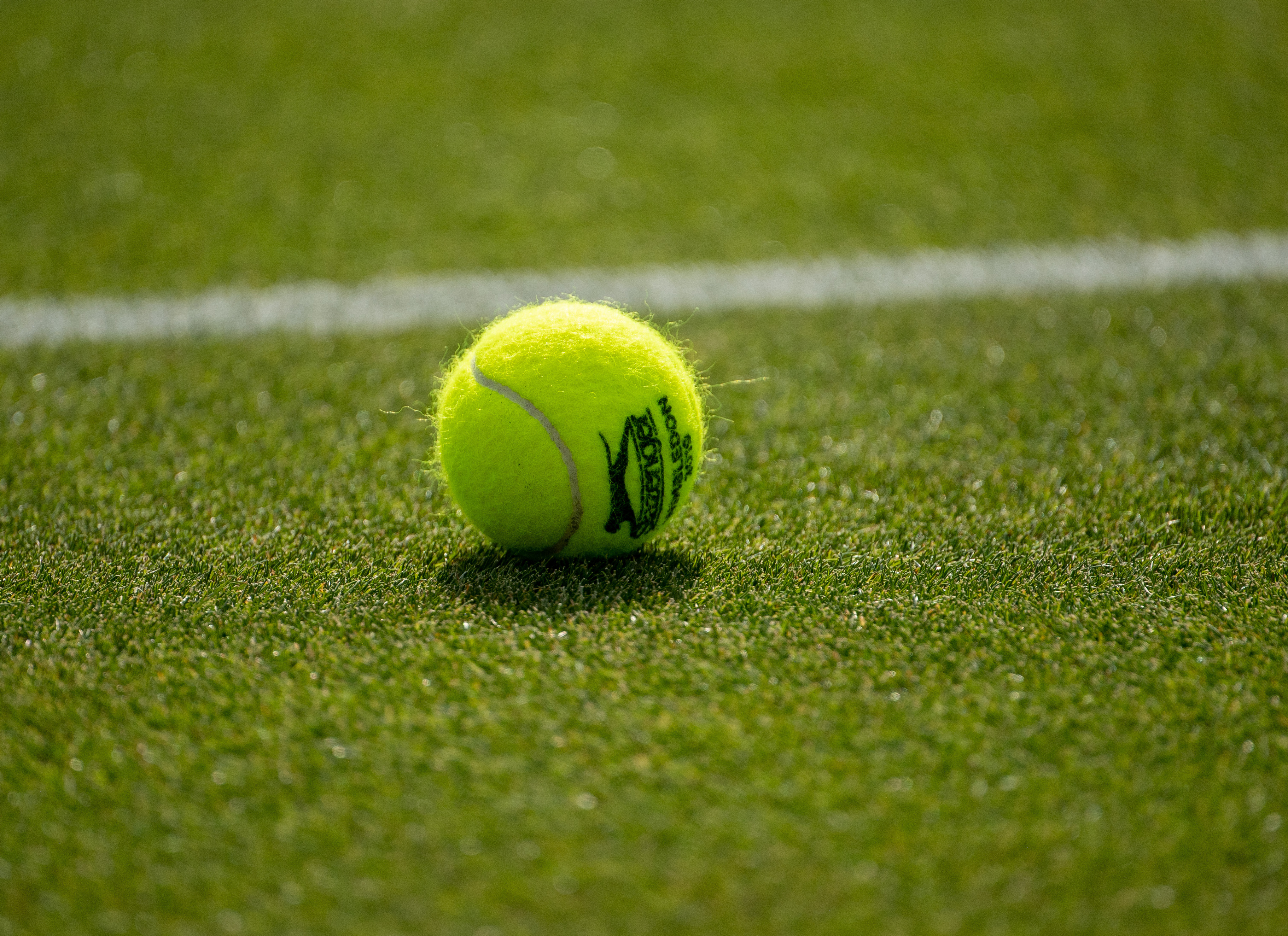 Speltips Hurkacz - O'Connell