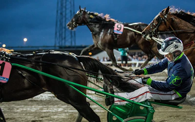 Välkomstbonus Betting trav odds