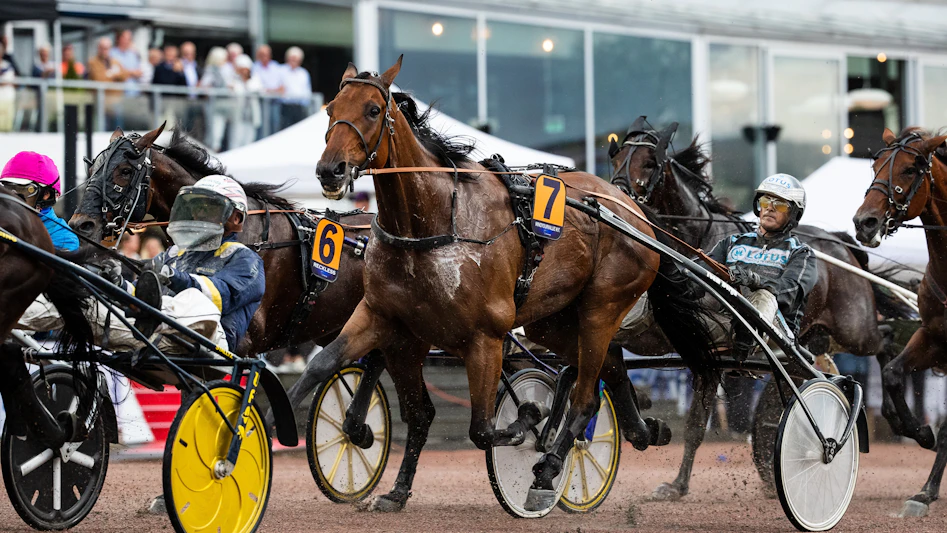 Trav spelbolag bonus poolspel