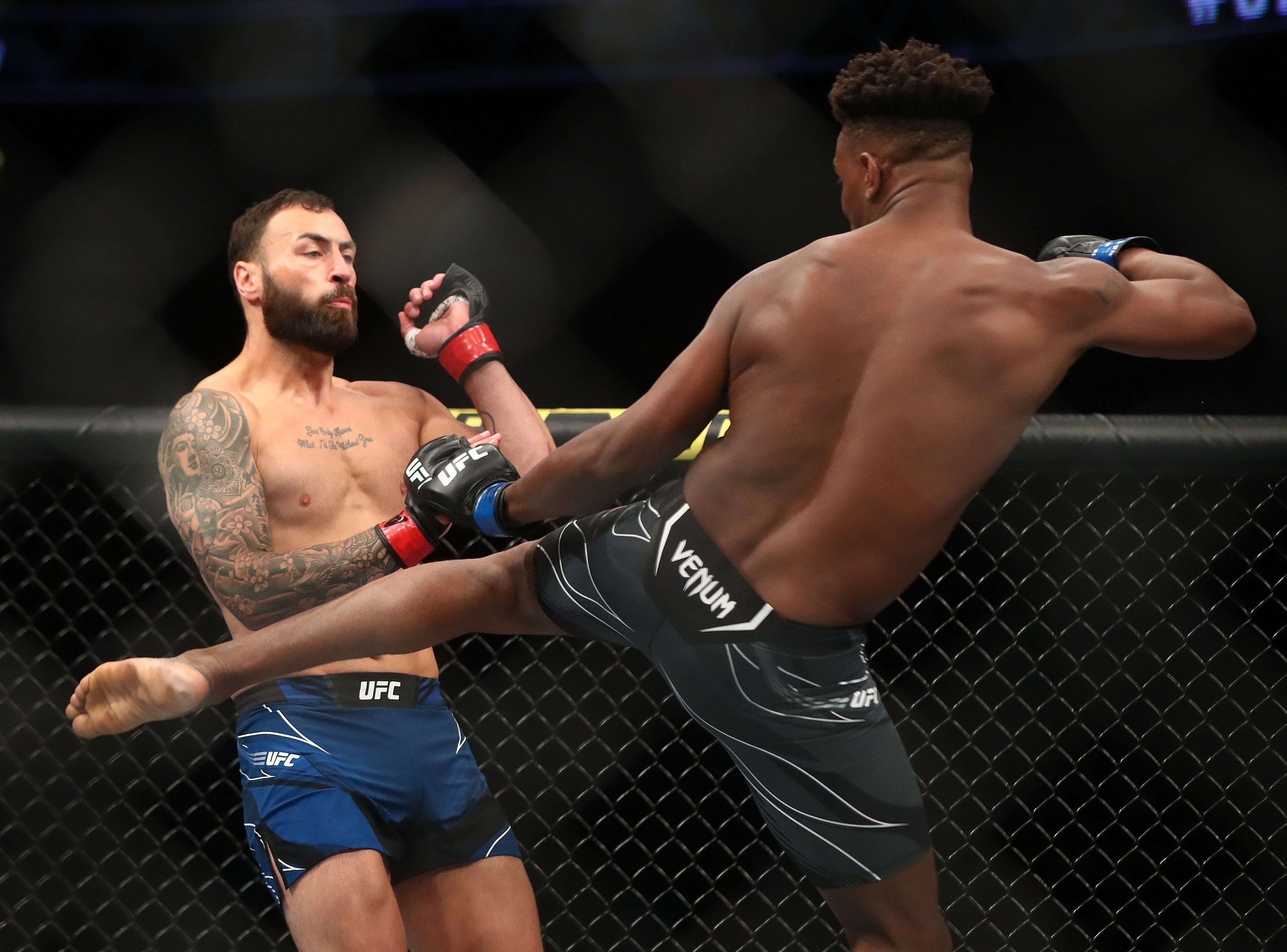 Speltips Pereira - Hill