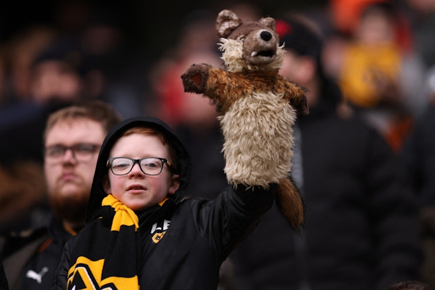Wolves fans