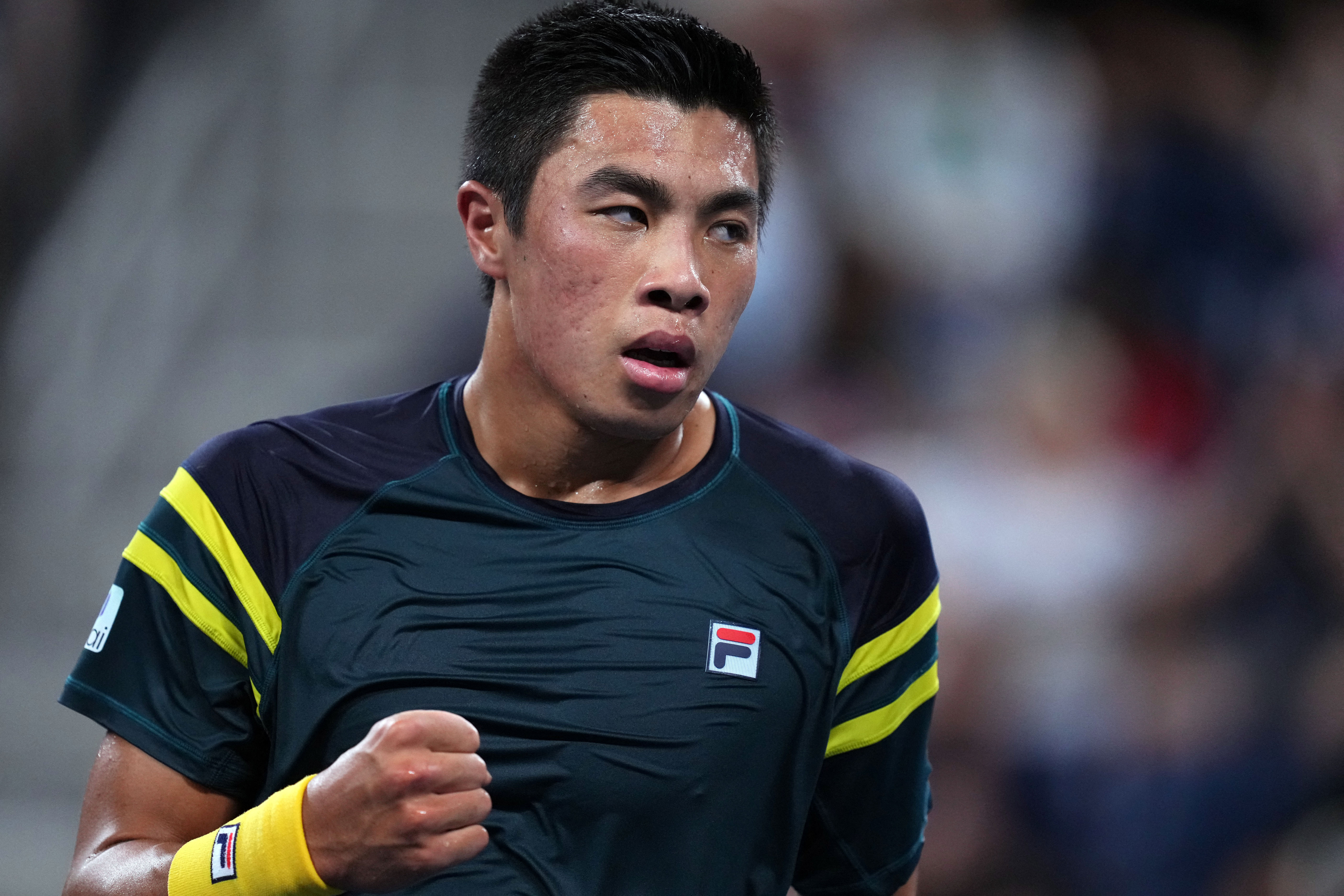 Speltips Shelton - Nakashima