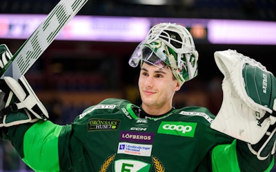 SHL premiär odds och analys