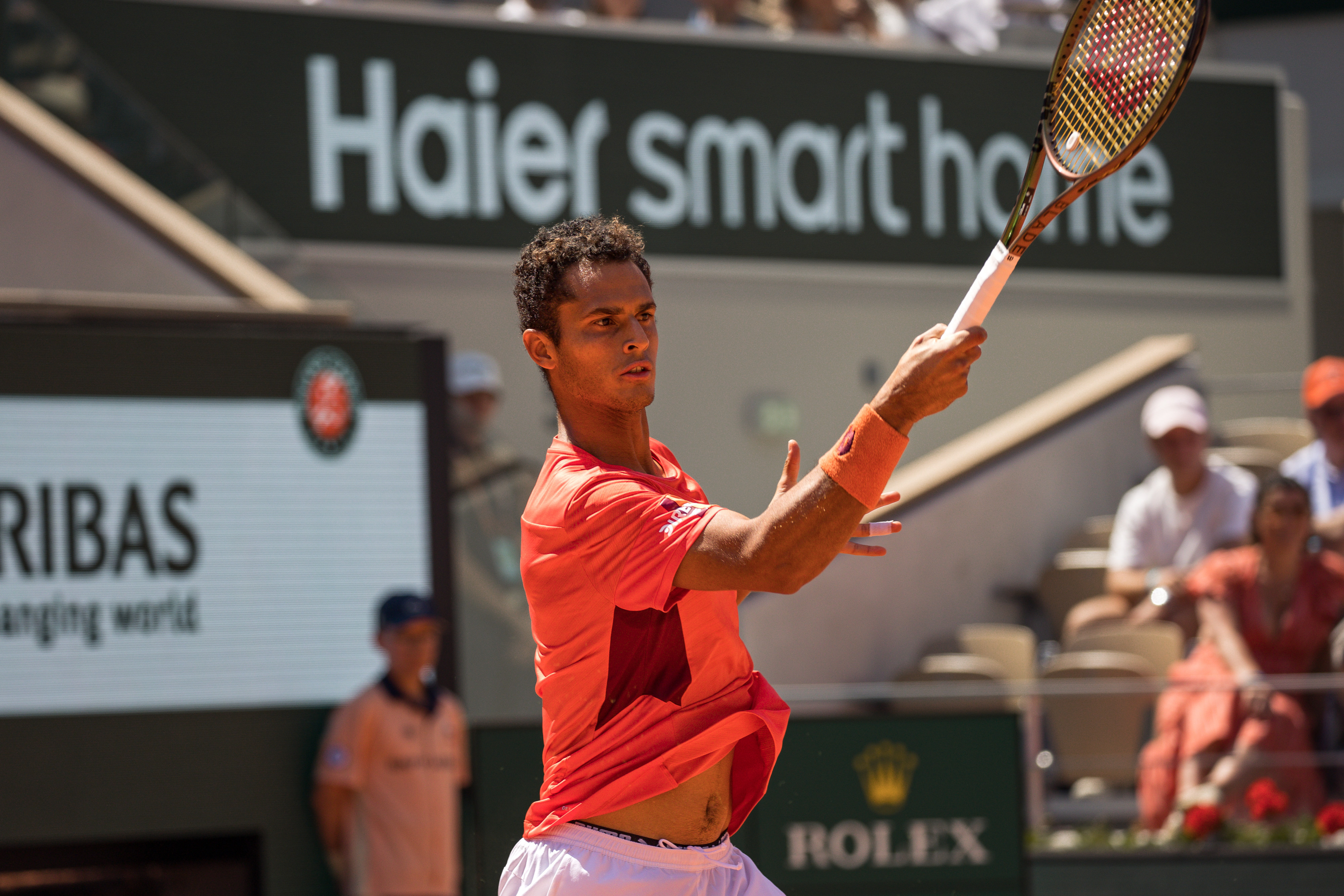 Speltips Seyboth Wild - Varillas