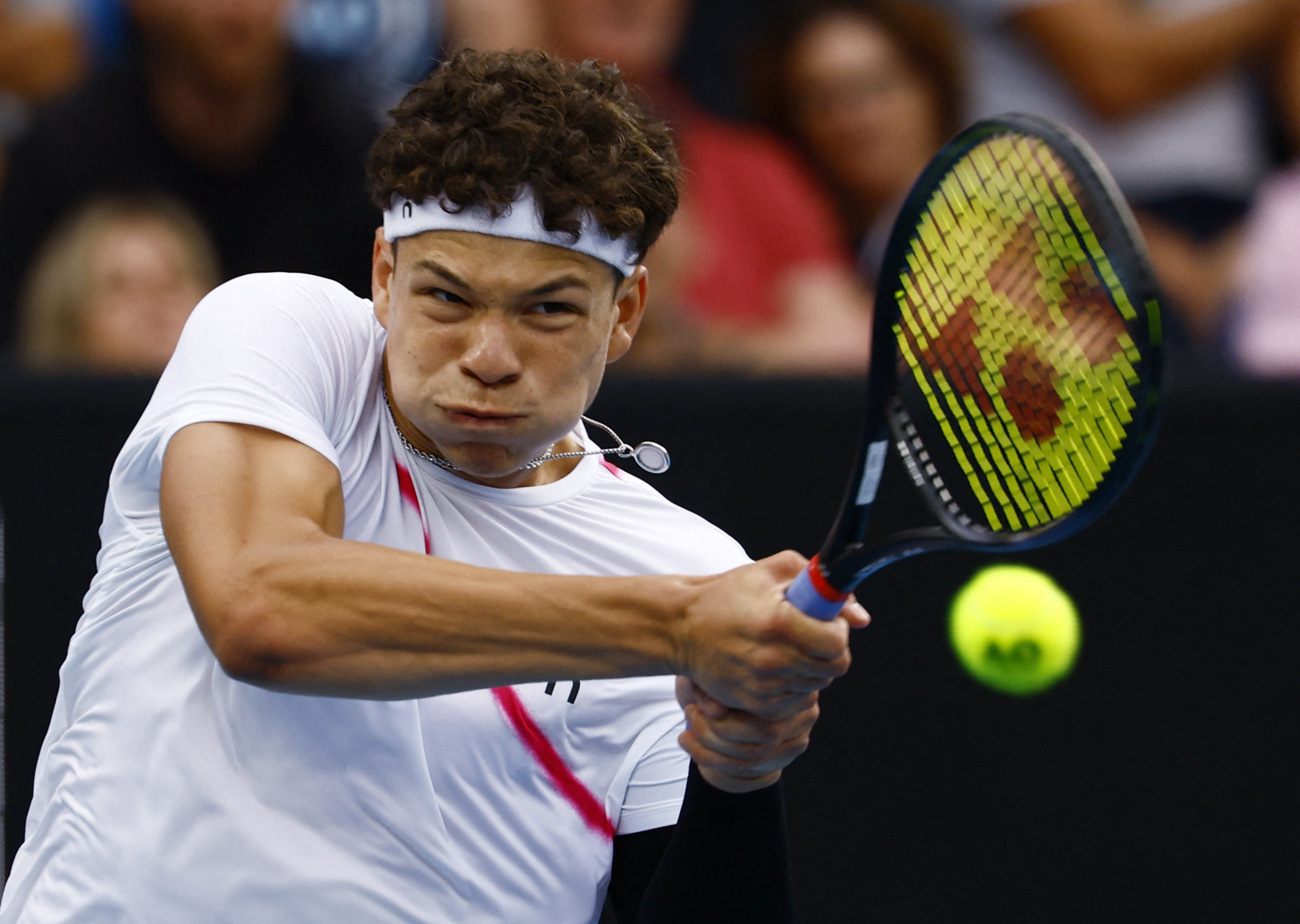 Speltips Machac - Shelton