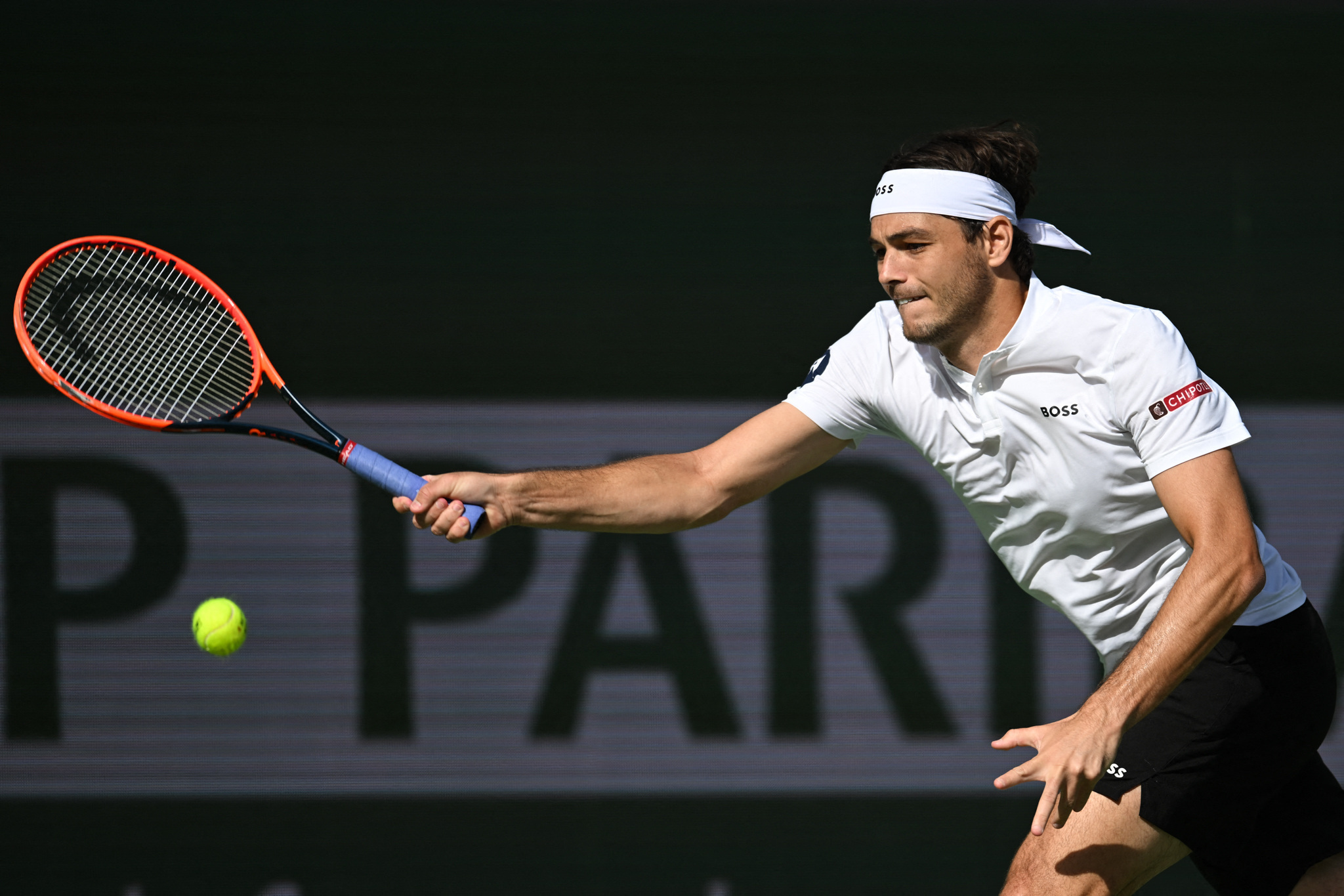 Speltips Fritz - Baez