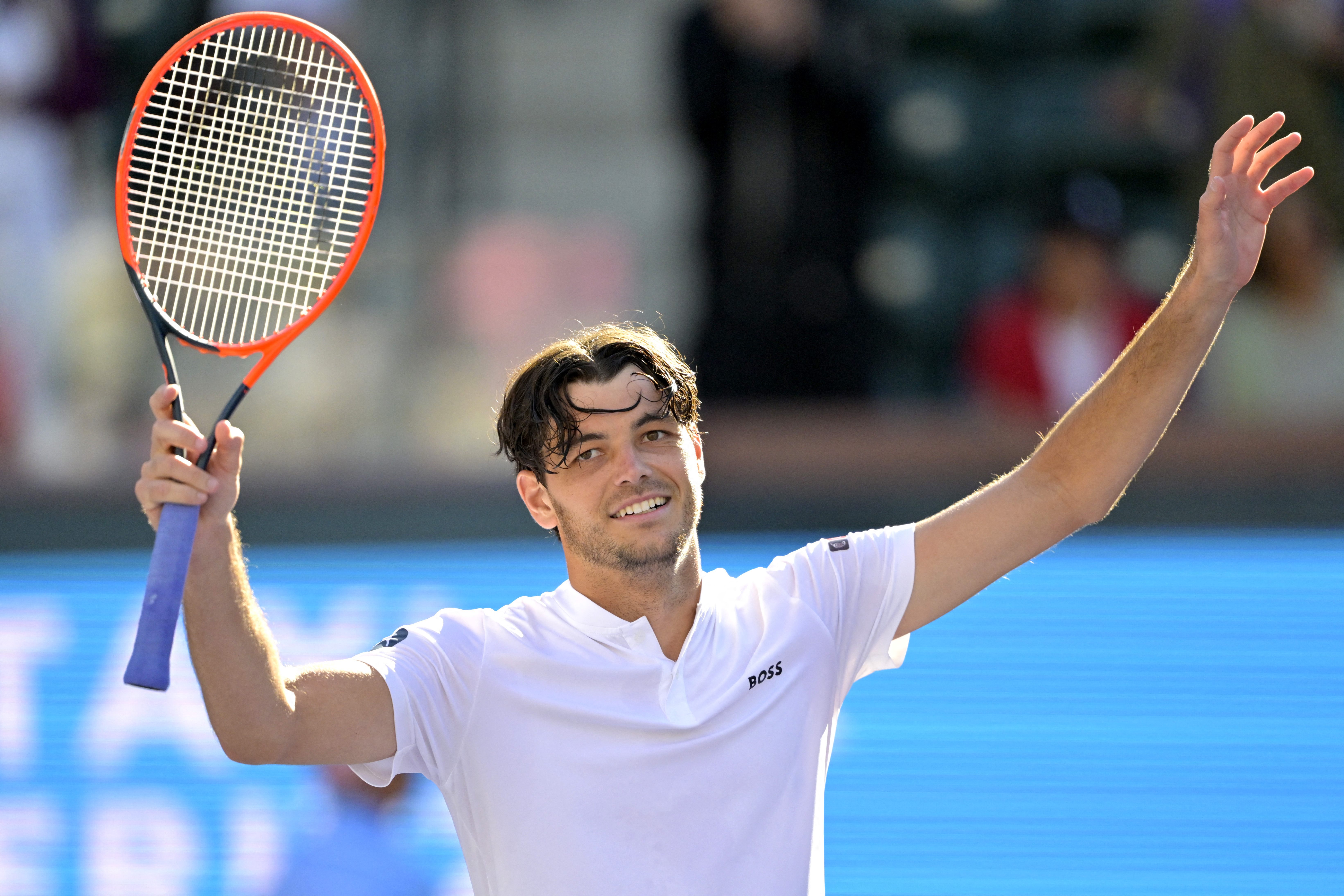 Speltips Fritz - Struff