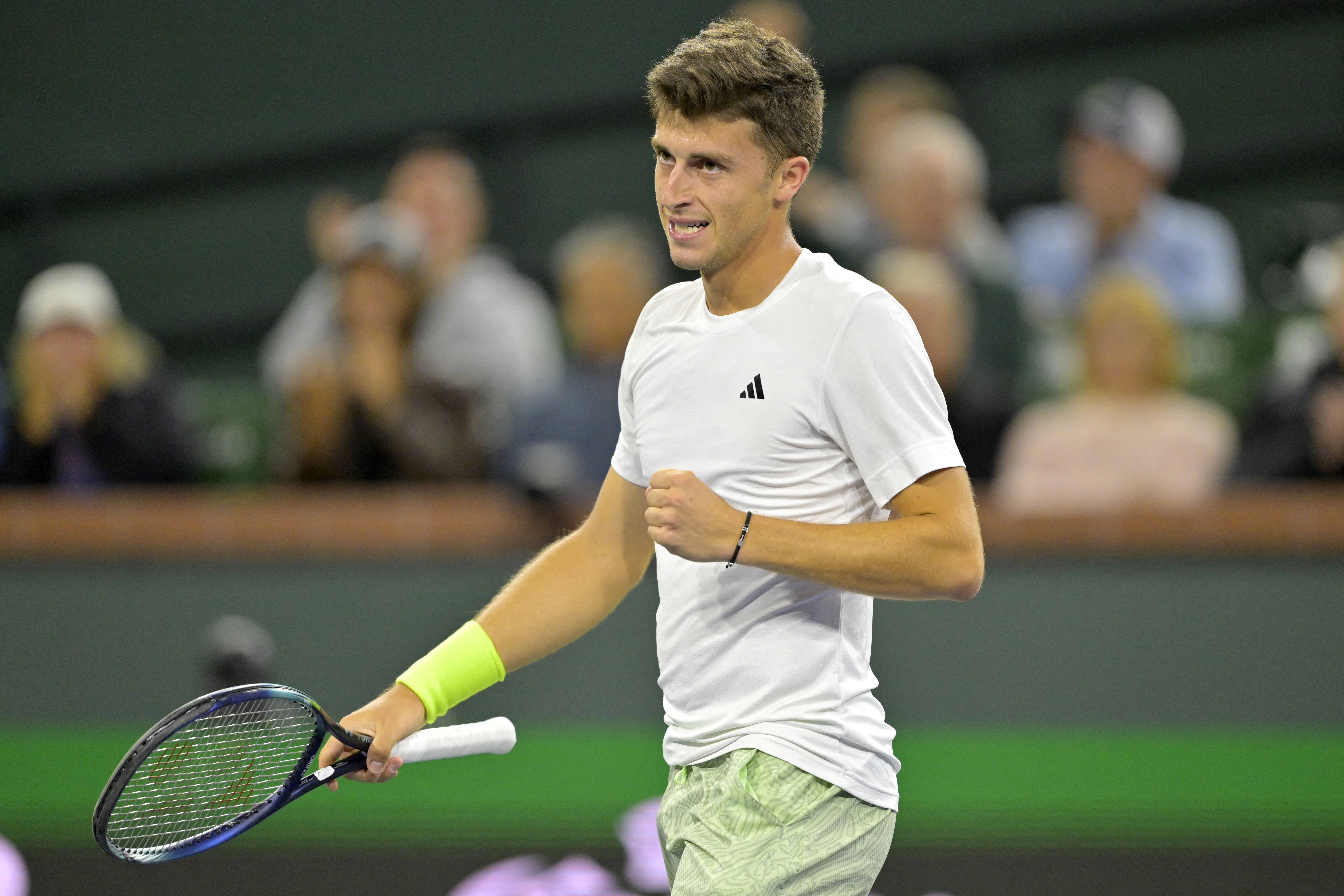 Speltips Nardi - Muller