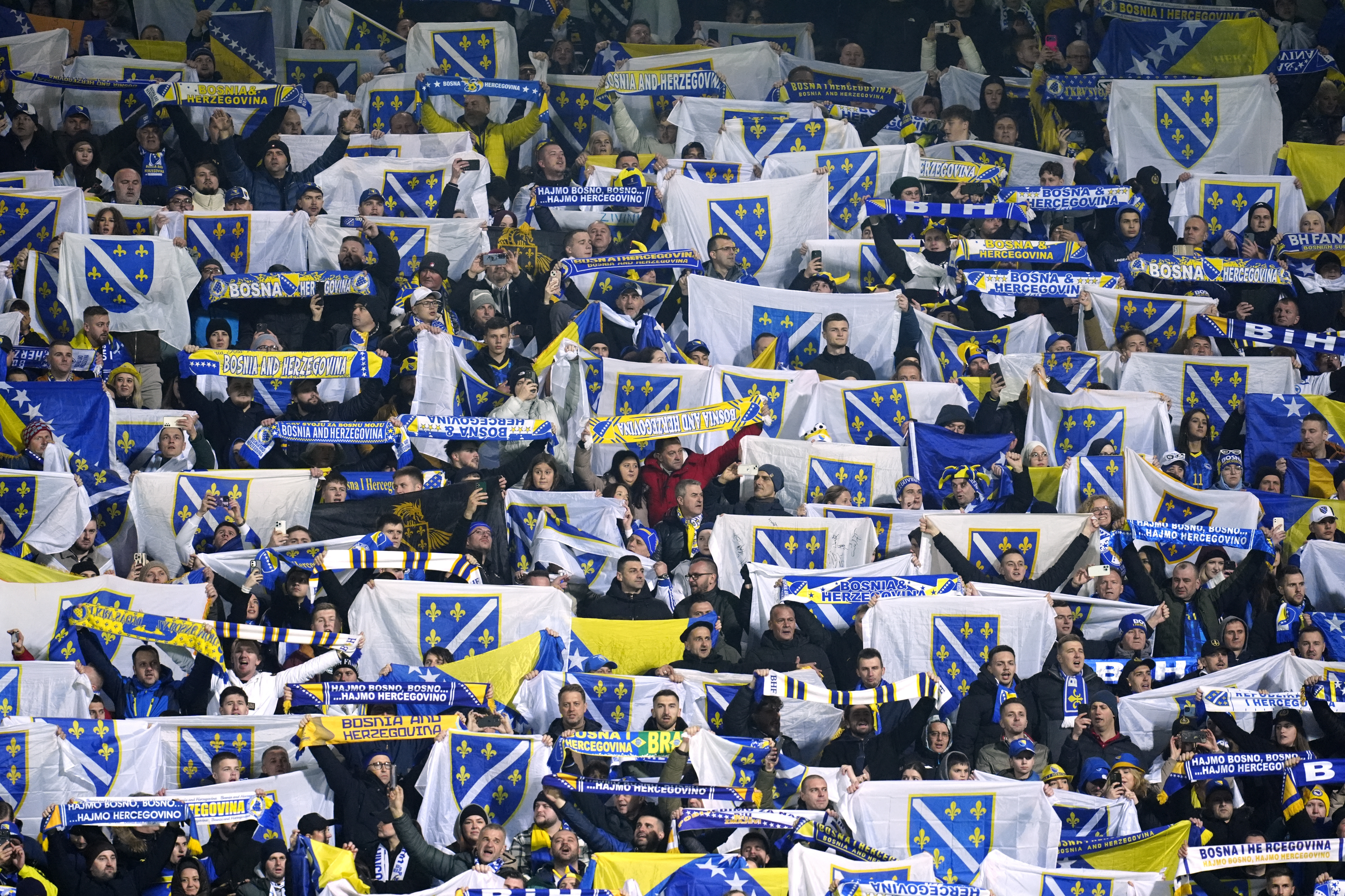 Bosnien fans 1