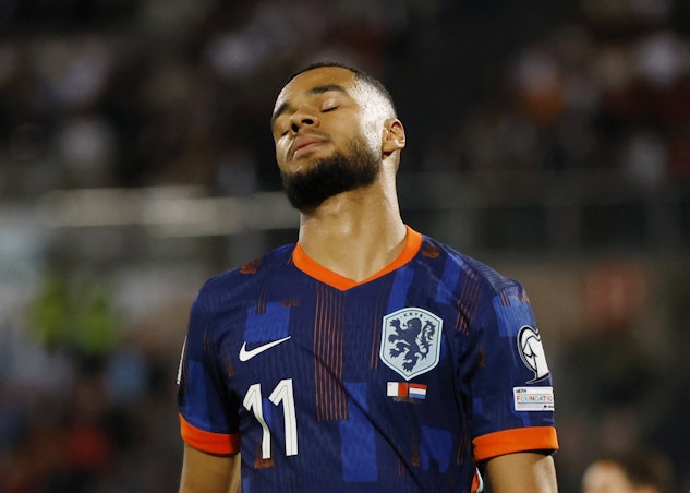 Cody Gakpo Nederlanderna