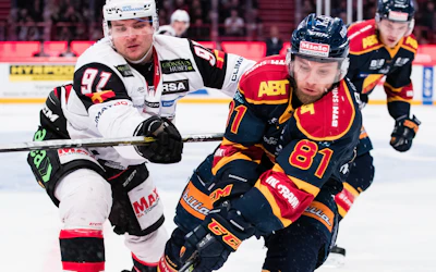 Dif Malmo SHL