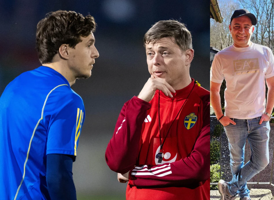 David infor Europatipset V12