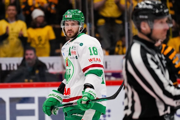 Dennis Everberg Rogle SM final SHL