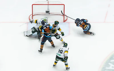 Djurgarden Bjorkloven pa Hovet