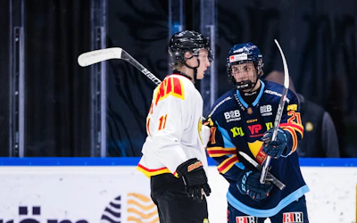 Djurgarden Brynas Hockey Allsveskan