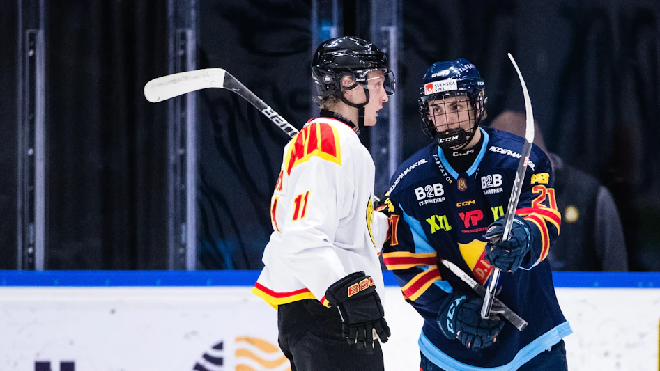 Djurgarden Brynas Hockey Allsveskan