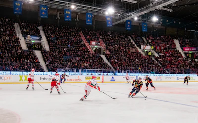 Djurgarden Mora pa Hovet