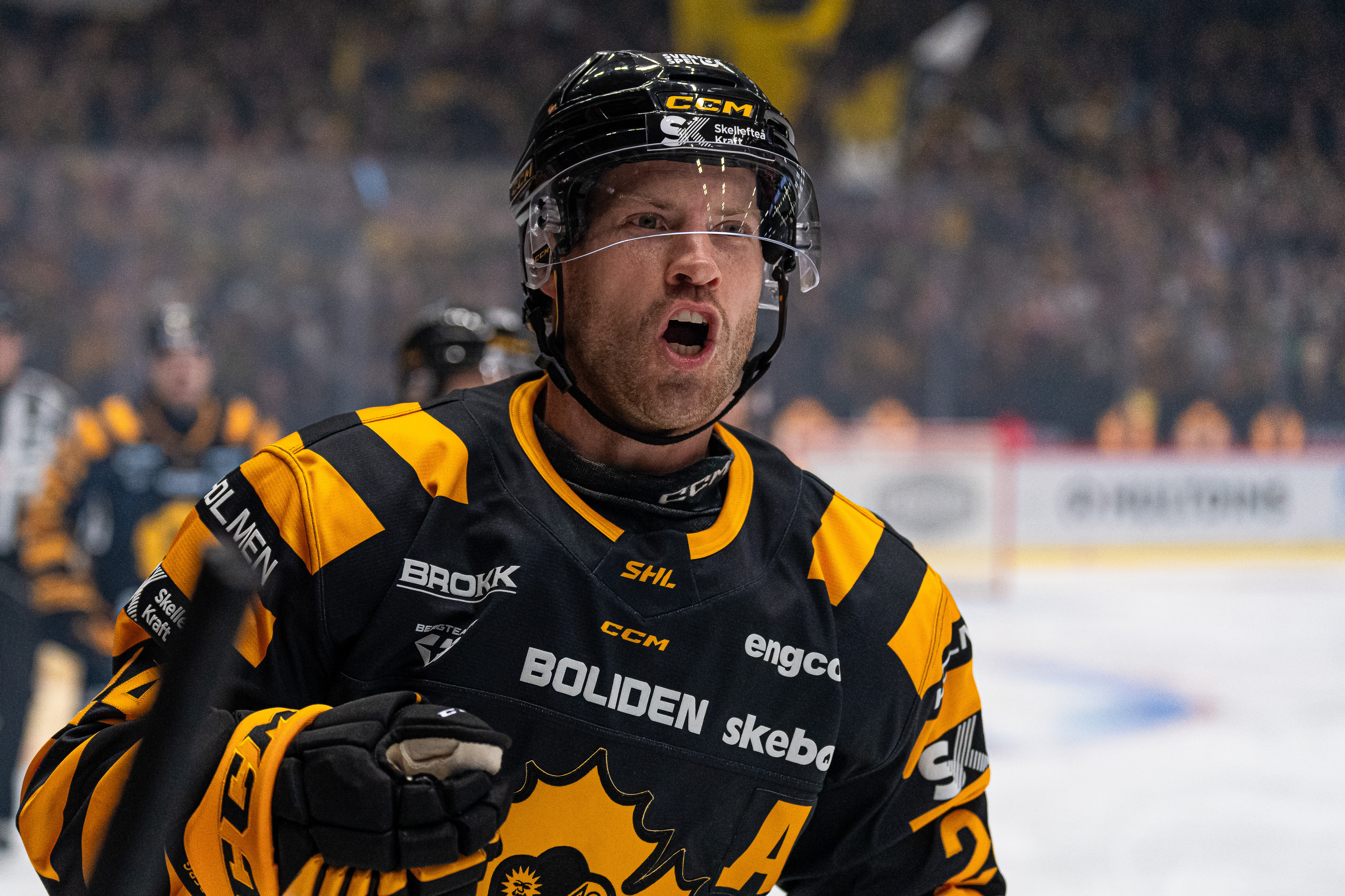 Speltips HV71 - Skellefteå