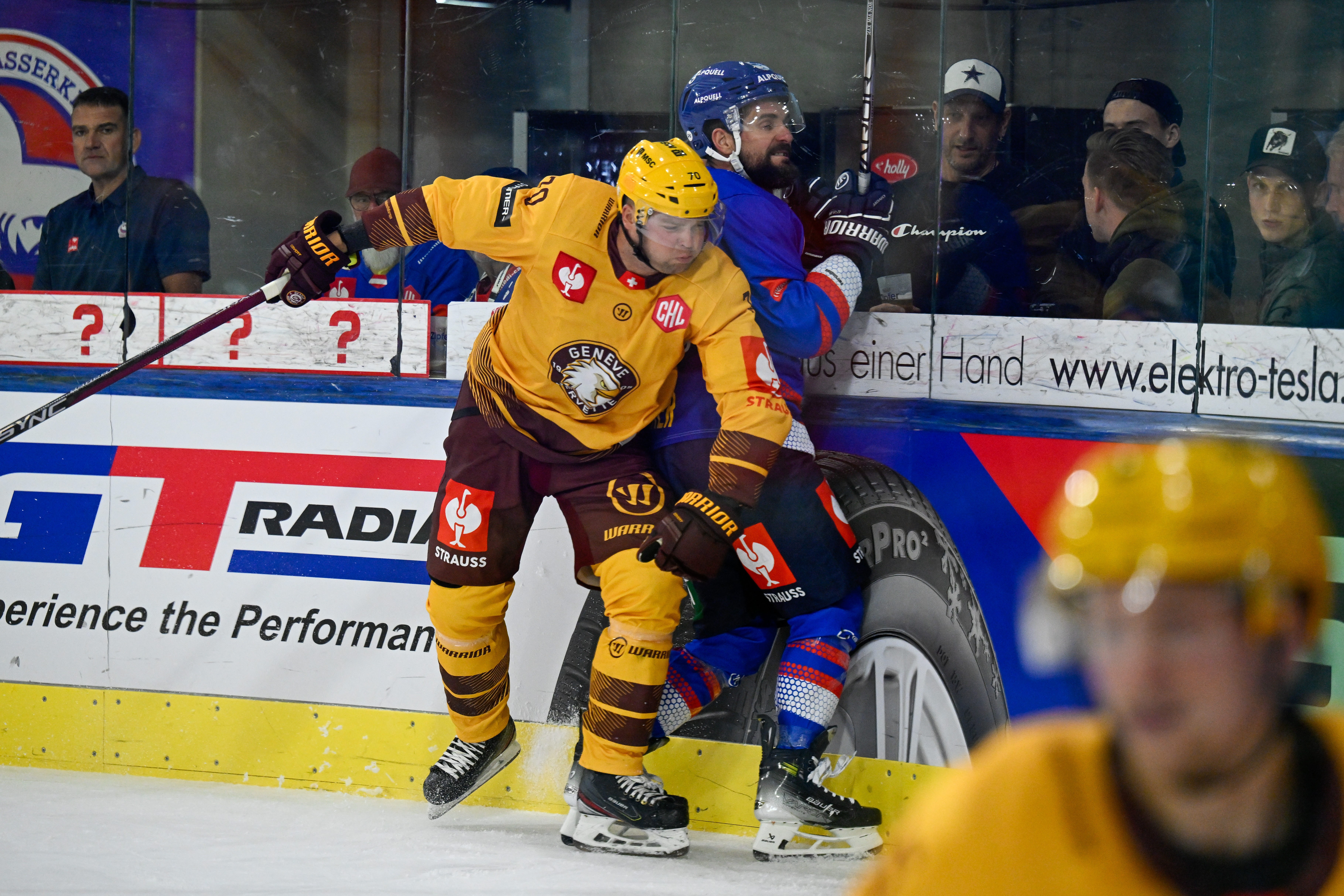 Speltips Genève-Servette HC - Dragons de Rouen