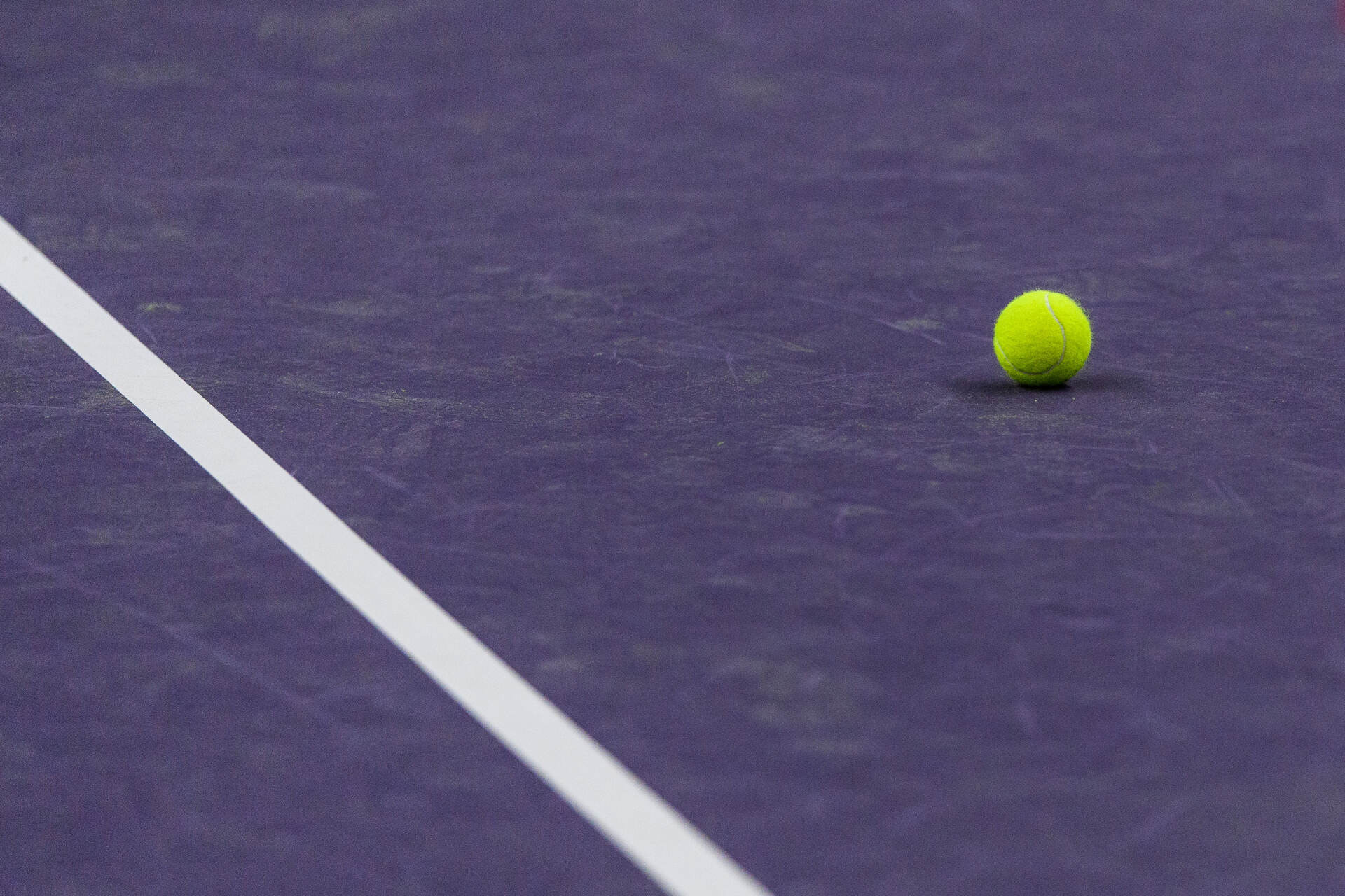 Speltips Valentova vs Fernandez