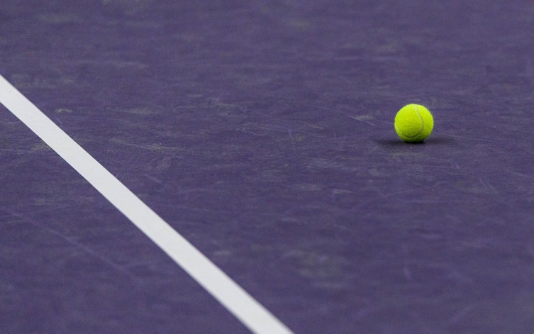 Speltips Valentova vs Fernandez