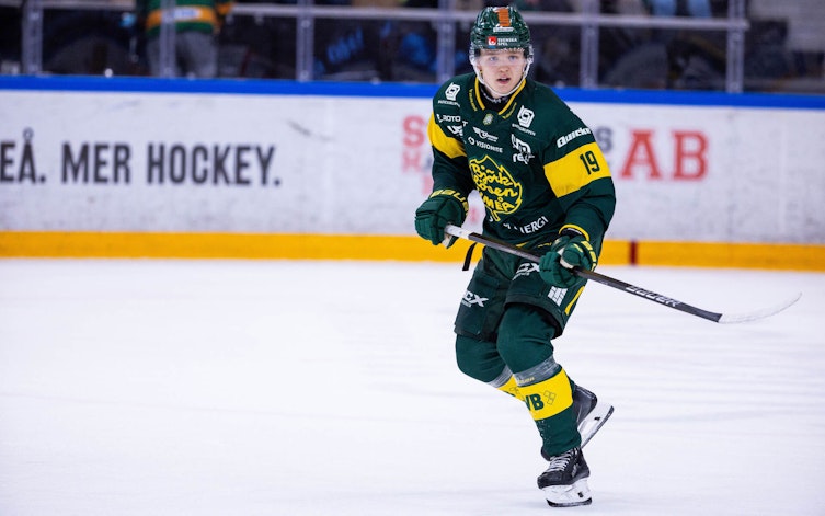 Speltips Tingsryd - Björklöven