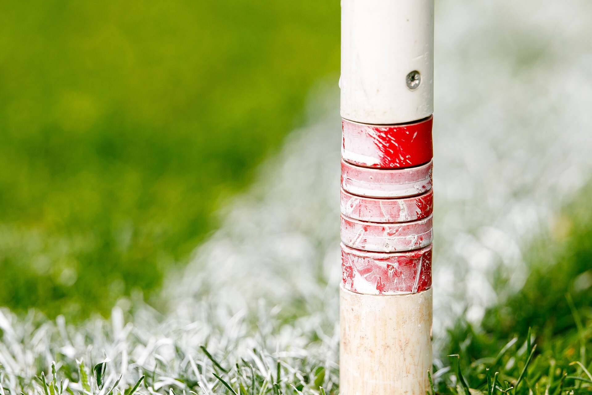 Speltips Buducnost - Milsami