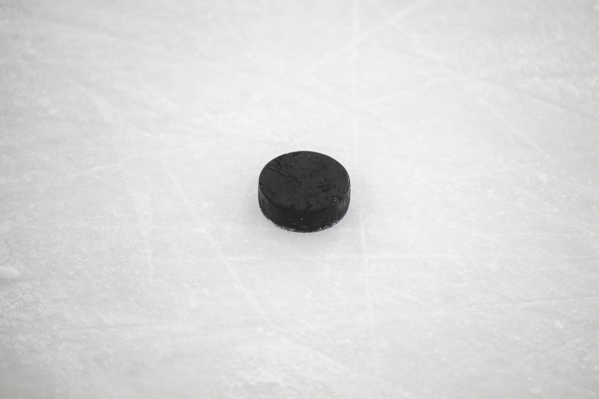 Speltips Utah - San Jose