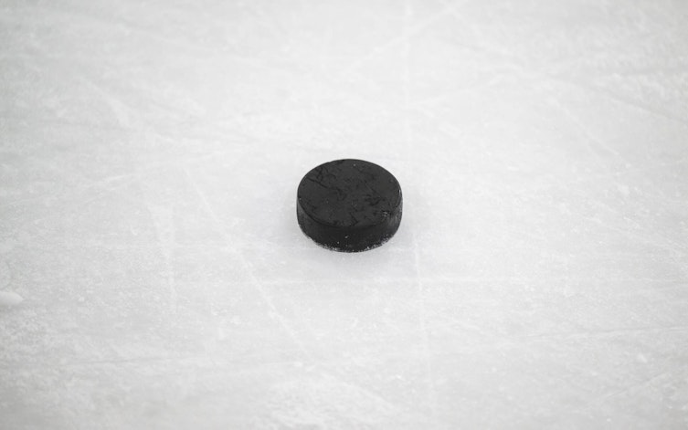 Speltips Utah - San Jose