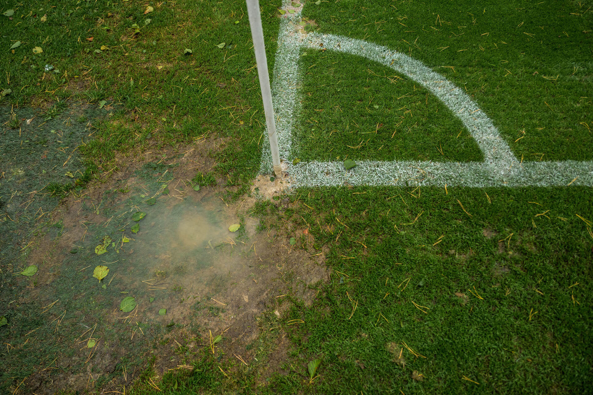 Speltips Brentford - Leeds